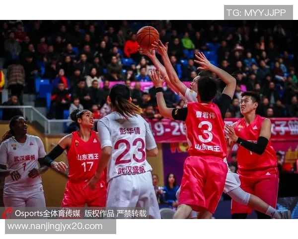 武汉篮球队逆袭之旅的真实记录与奋斗精神的展现